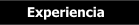 Experiencia